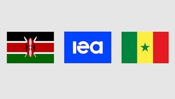 Flags Iea Option4